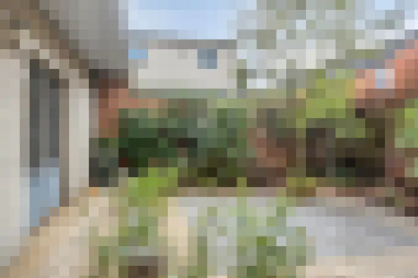 Johan Frisostraat 15 Rosmalen thumbnail 5