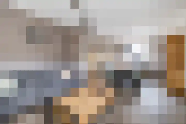 Johan Frisostraat 2 Vroomshoop thumbnail 10