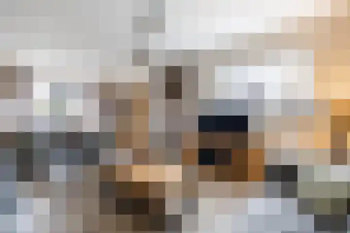 Johan Frisostraat 2 Vroomshoop thumbnail 11