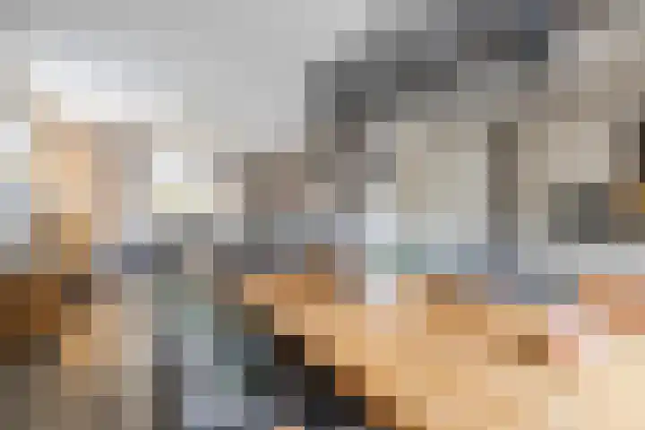Johan Frisostraat 2 Vroomshoop thumbnail 13