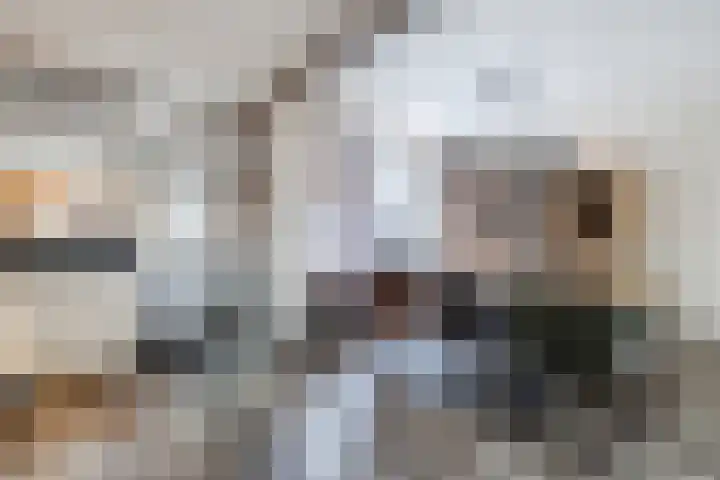 Johan Frisostraat 2 Vroomshoop thumbnail 14