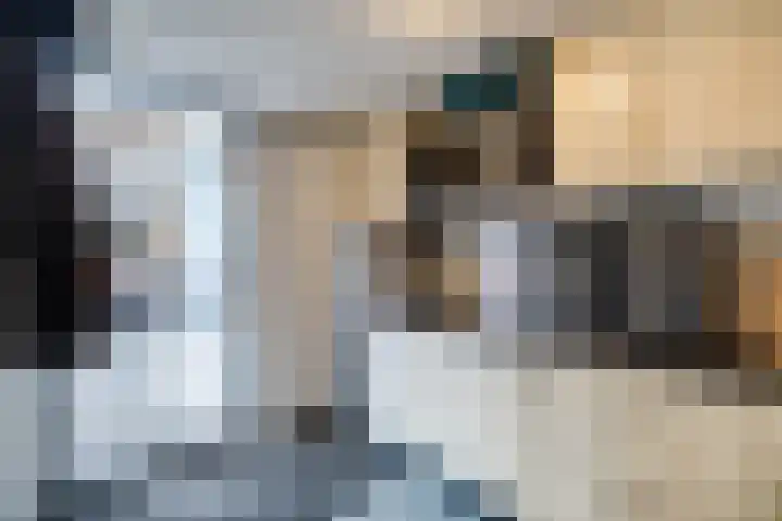 Johan Frisostraat 2 Vroomshoop thumbnail 16