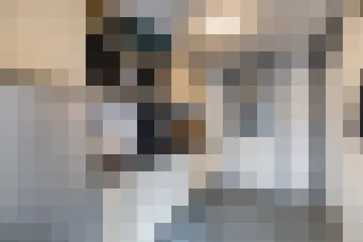 Johan Frisostraat 2 Vroomshoop thumbnail 17