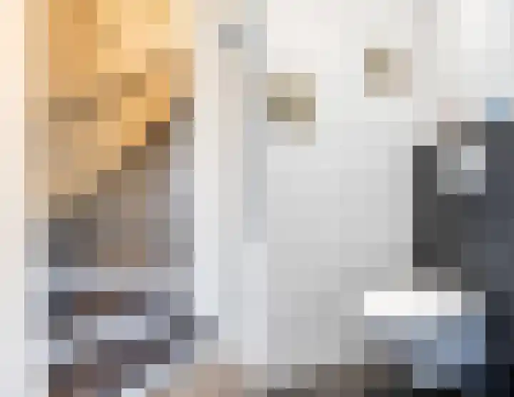 Johan Frisostraat 2 Vroomshoop thumbnail 18