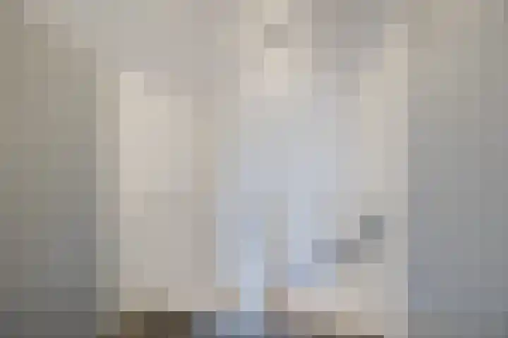 Johan Frisostraat 2 Vroomshoop thumbnail 20