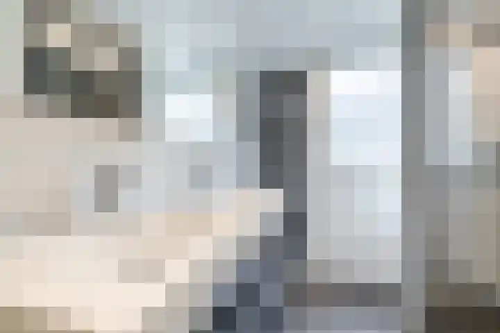 Johan Frisostraat 2 Vroomshoop thumbnail 21