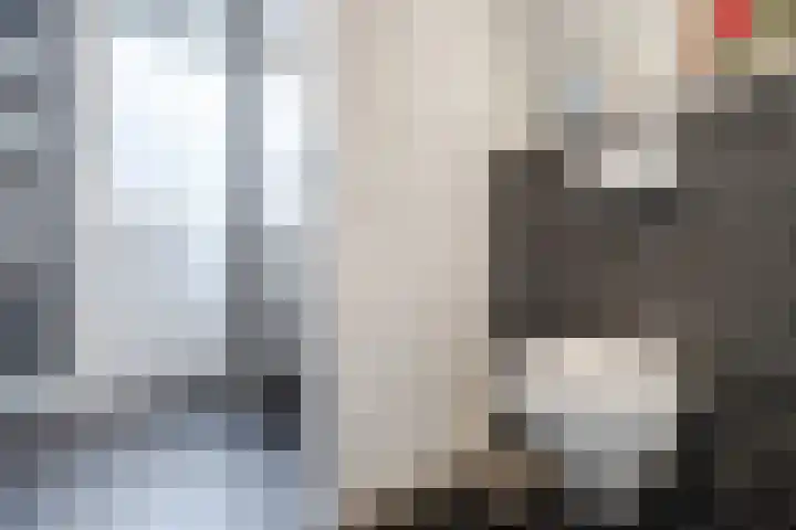 Johan Frisostraat 2 Vroomshoop thumbnail 22