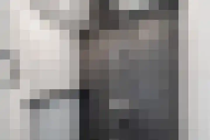Johan Frisostraat 2 Vroomshoop thumbnail 23