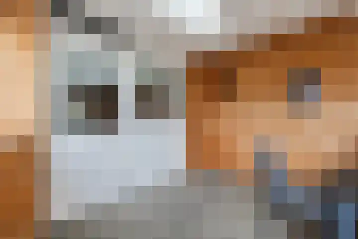 Johan Frisostraat 2 Vroomshoop thumbnail 25
