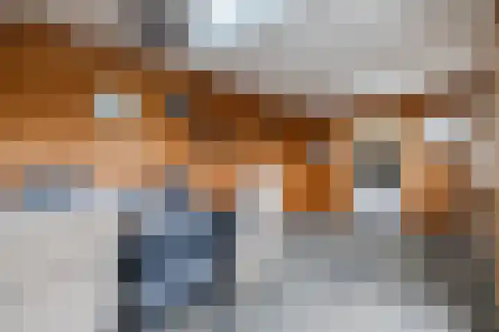Johan Frisostraat 2 Vroomshoop thumbnail 26