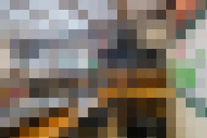 Johan Frisostraat 2 Vroomshoop thumbnail 27
