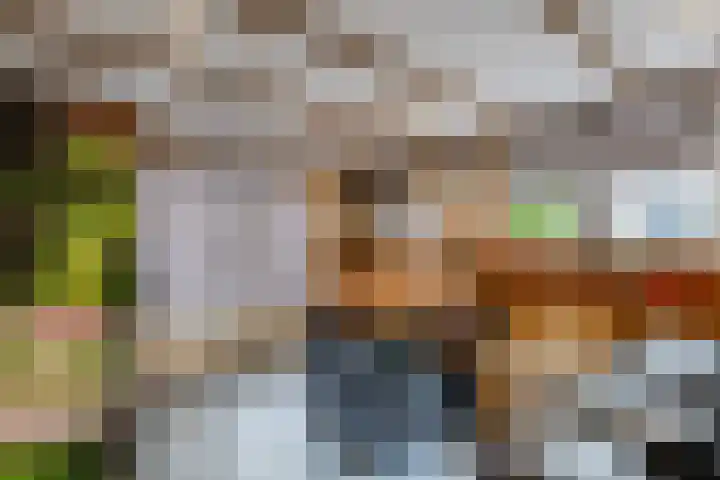Johan Frisostraat 2 Vroomshoop thumbnail 28