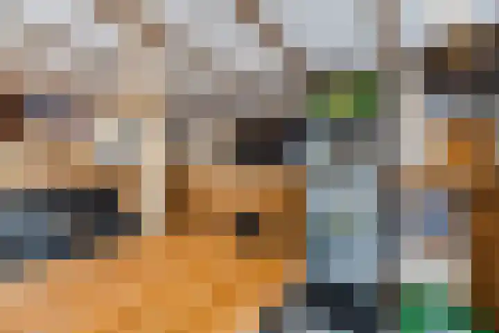 Johan Frisostraat 2 Vroomshoop thumbnail 30