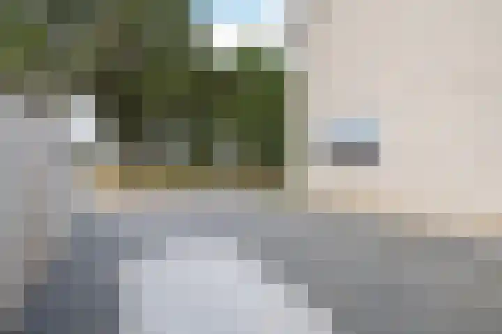 Johan Frisostraat 2 Vroomshoop thumbnail 38