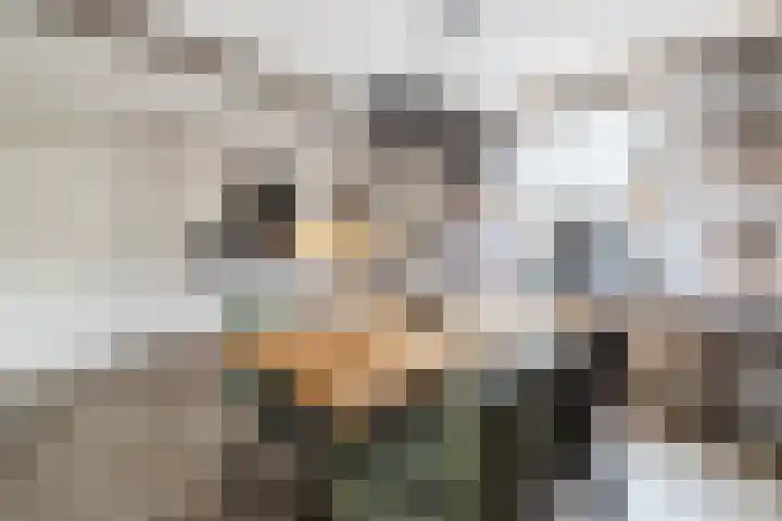 Johan Frisostraat 2 Vroomshoop thumbnail 6