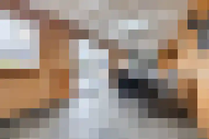 Johan Frisostraat 2 Vroomshoop thumbnail 7