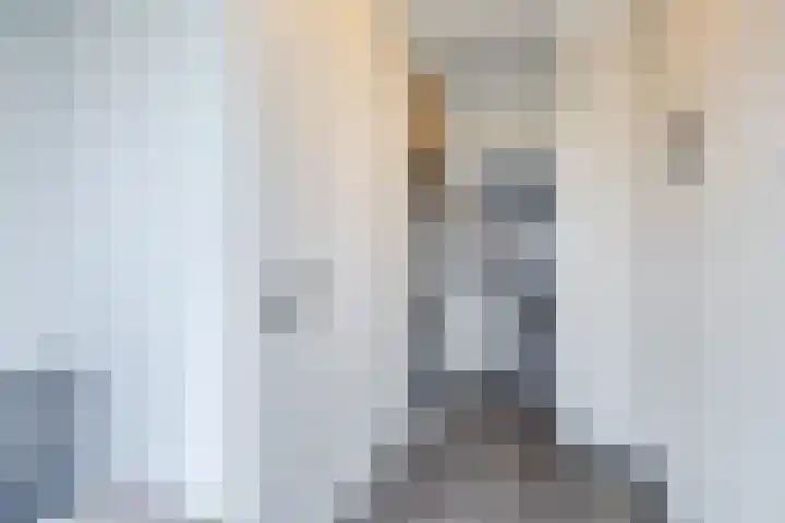 Johan Frisostraat 2 Vroomshoop thumbnail 8