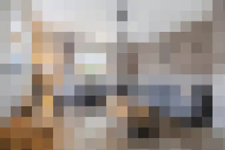 Johan Frisostraat 2 Vroomshoop thumbnail 9