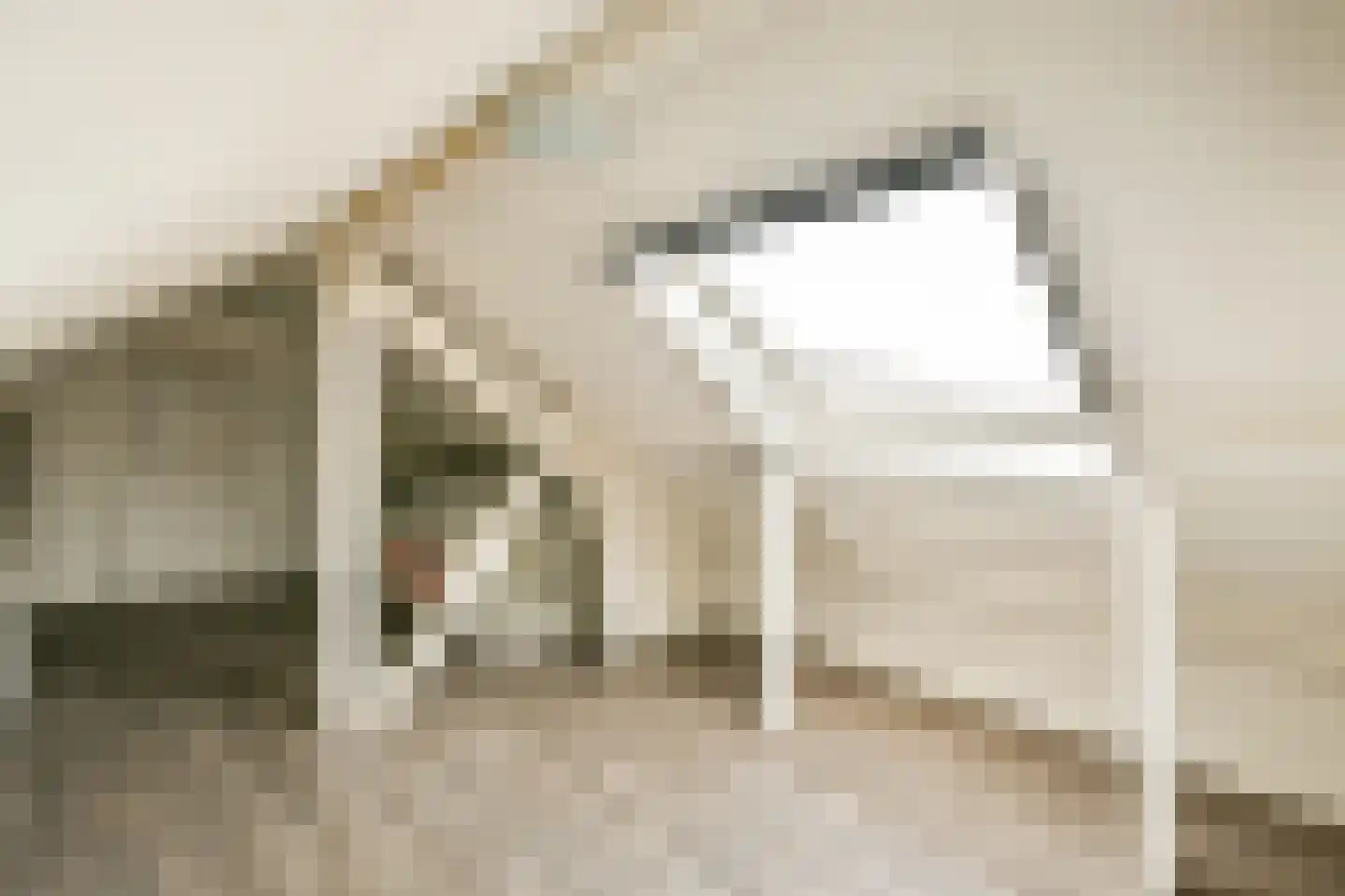 Johan Frisostraat 20 Aalsmeer thumbnail 20