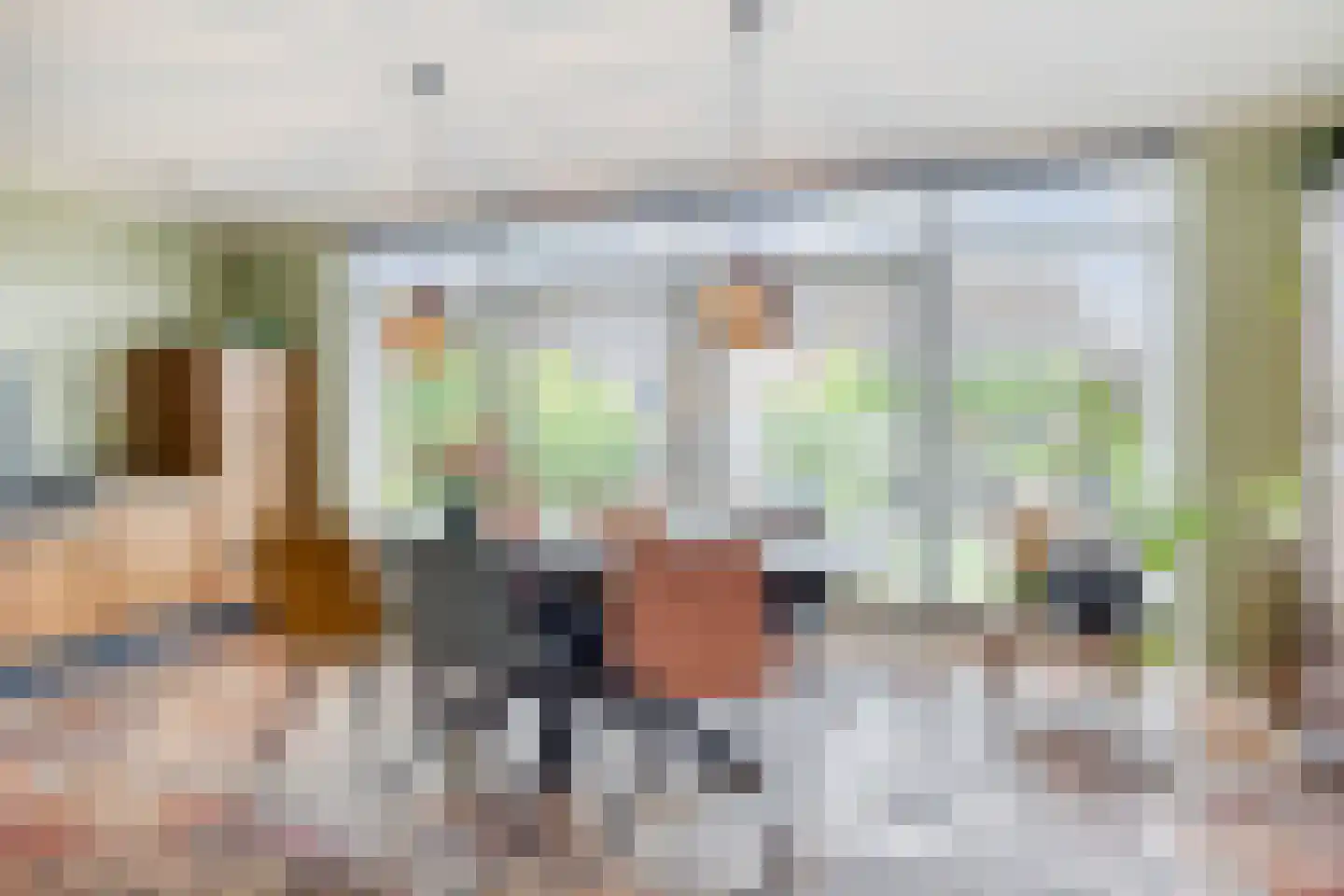 Johan Frisostraat 26 Sint-Oedenrode thumbnail 17