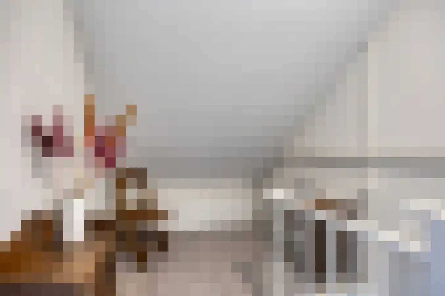 Johan Frisostraat 26 Sint-Oedenrode thumbnail 41
