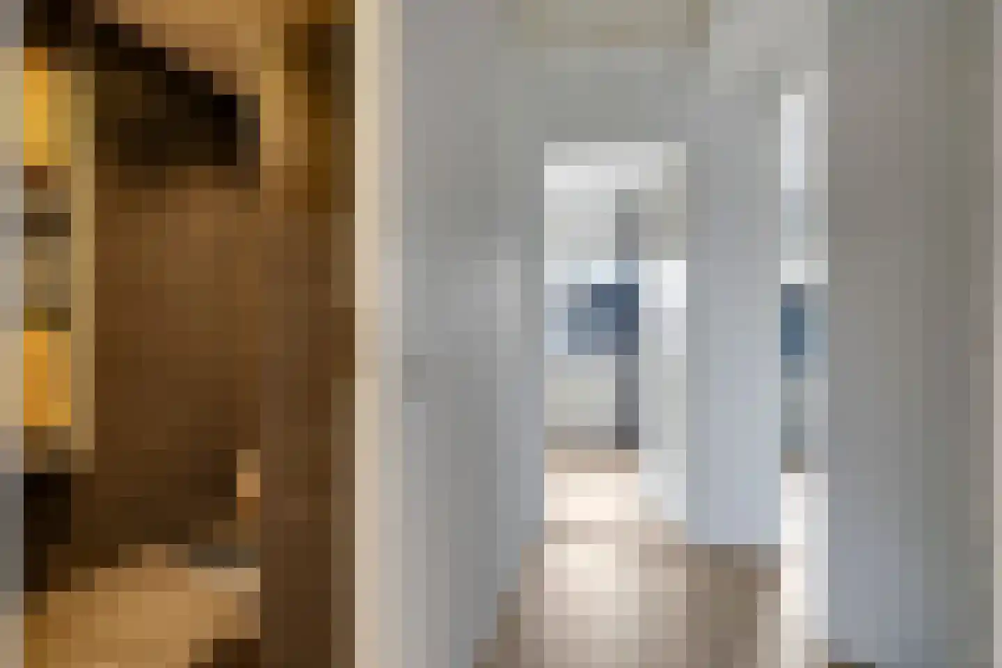Johan Frisostraat 3 Andelst thumbnail 34