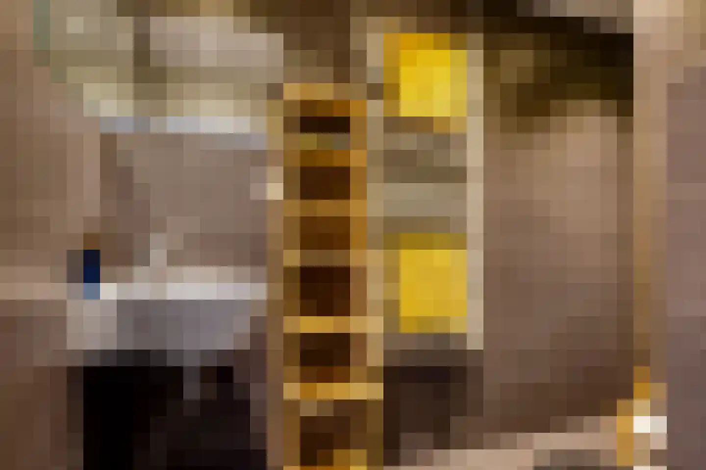 Johan Frisostraat 3 Andelst thumbnail 35