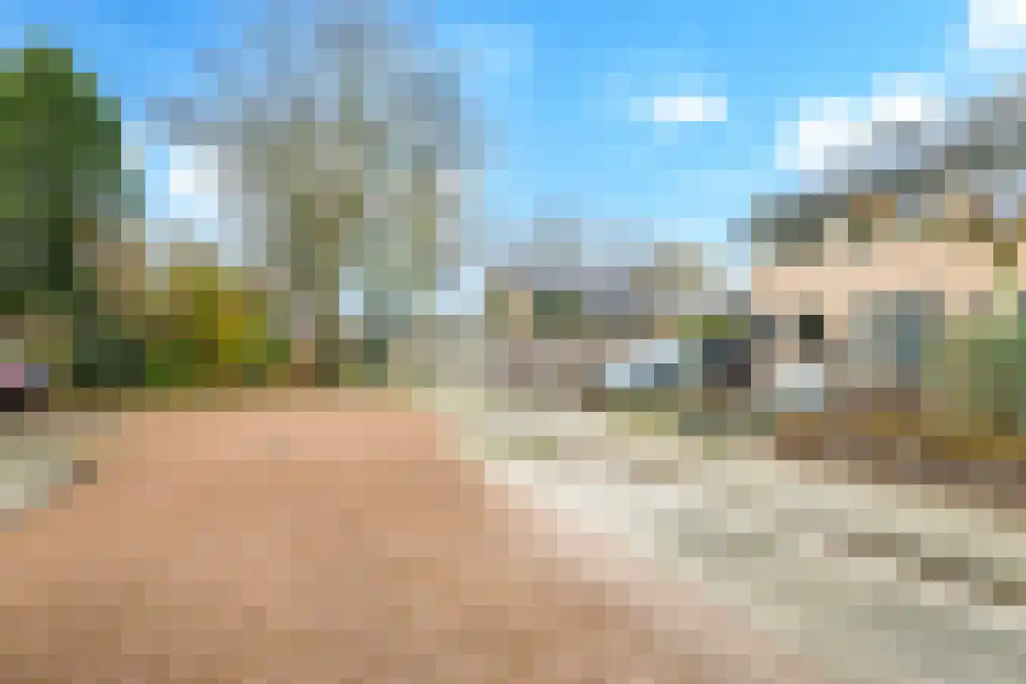 Johan Frisostraat 3 Andelst thumbnail 61