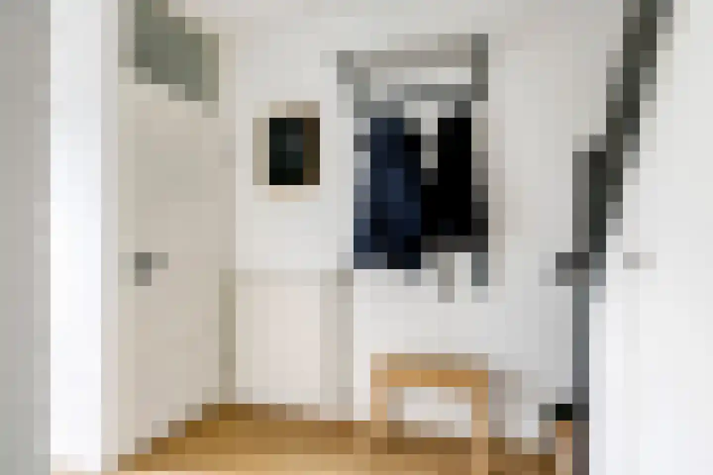 Johan Frisostraat 3 Andelst thumbnail 8