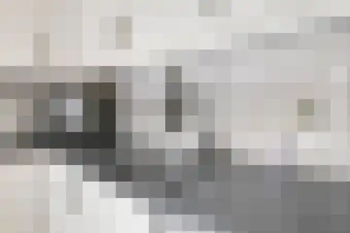 Johan Frisostraat 7 Randwijk thumbnail 18