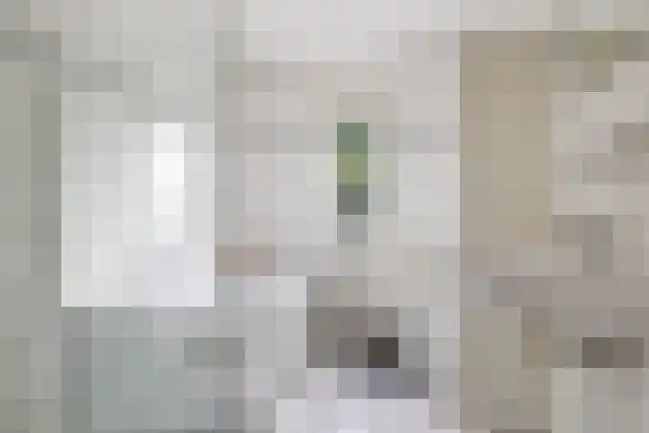 Johan Frisostraat 7 Randwijk thumbnail 30