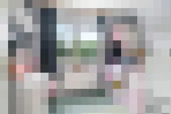 Johan Frisostraat 7 Randwijk thumbnail 34