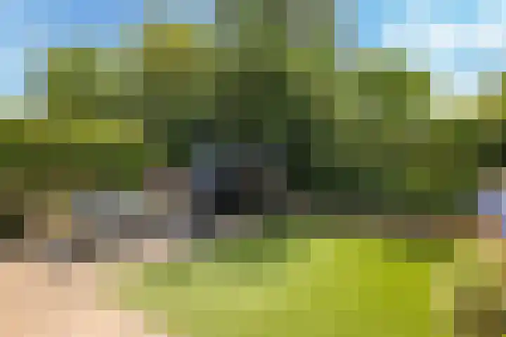 Johan Frisostraat 7 Randwijk thumbnail 51