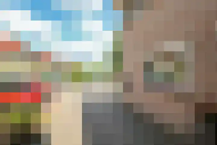 Johan Frisostraat 7 Randwijk thumbnail 57
