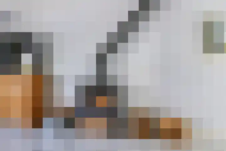 Johan Frisostraat 7 Randwijk thumbnail 9