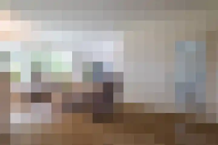 Johan Frisostraat 8 Vroomshoop thumbnail 10