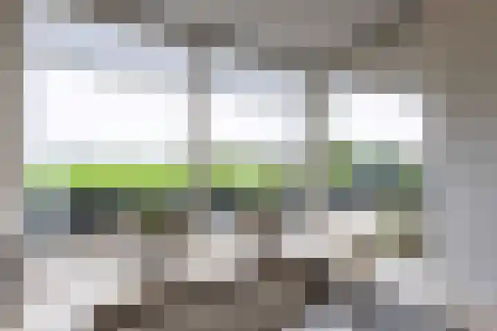 Johan Frisostraat 8 Vroomshoop thumbnail 12