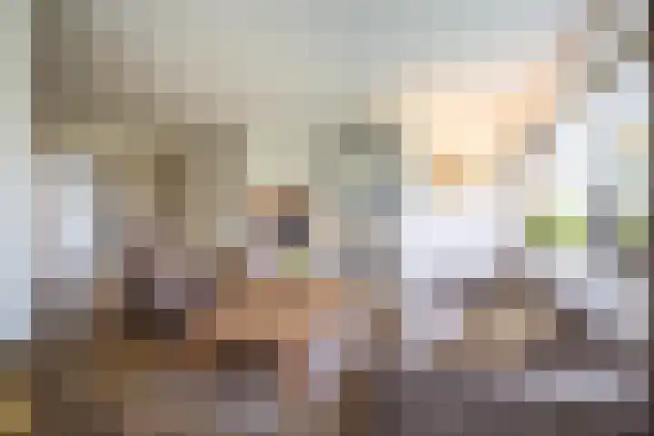 Johan Frisostraat 8 Vroomshoop thumbnail 14