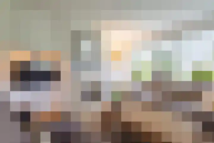 Johan Frisostraat 8 Vroomshoop thumbnail 15