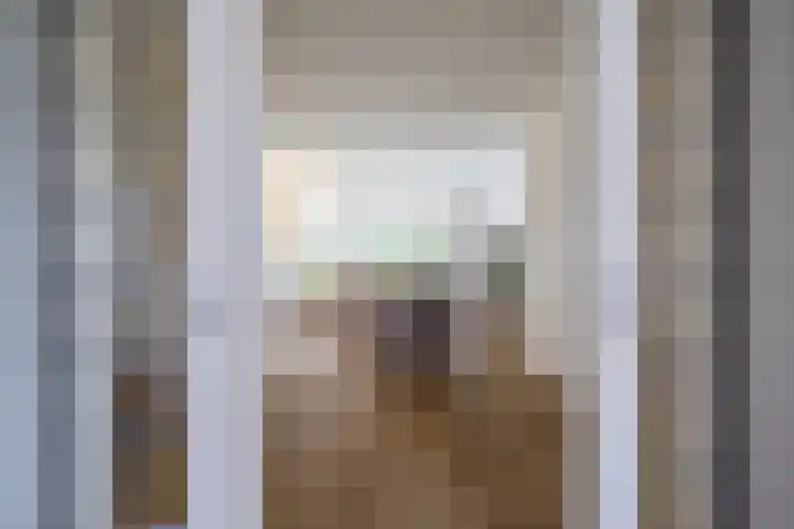 Johan Frisostraat 8 Vroomshoop thumbnail 17