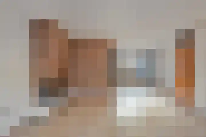 Johan Frisostraat 8 Vroomshoop thumbnail 18