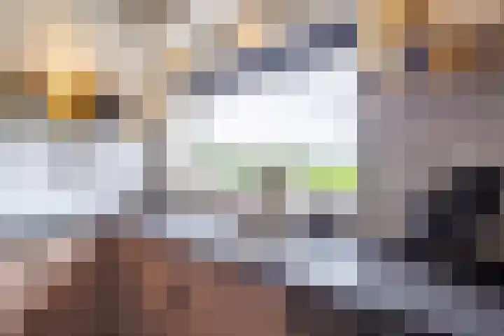 Johan Frisostraat 8 Vroomshoop thumbnail 22