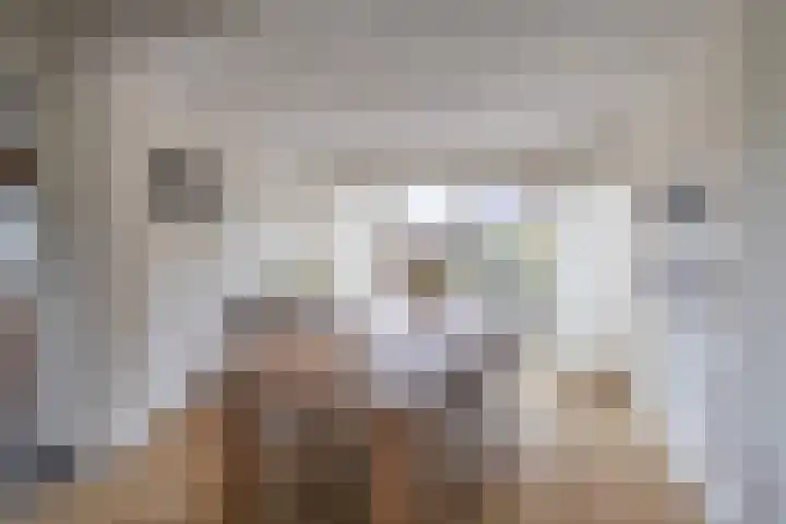 Johan Frisostraat 8 Vroomshoop thumbnail 24
