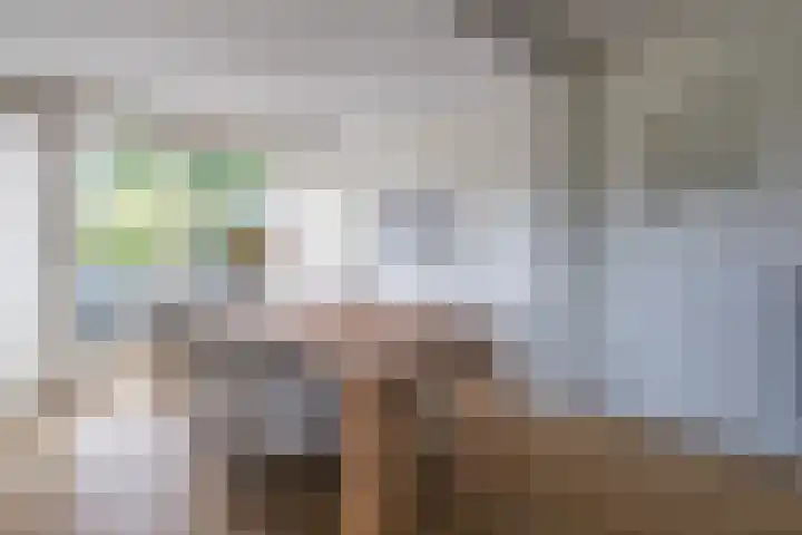 Johan Frisostraat 8 Vroomshoop thumbnail 25