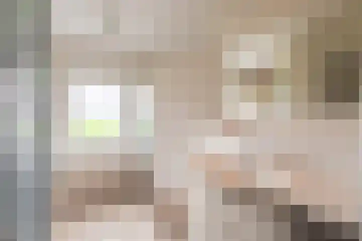 Johan Frisostraat 8 Vroomshoop thumbnail 27