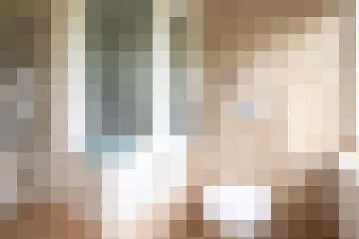 Johan Frisostraat 8 Vroomshoop thumbnail 29