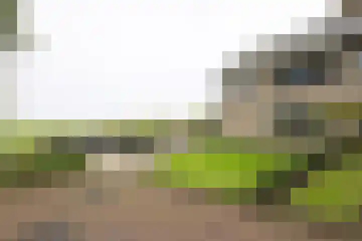 Johan Frisostraat 8 Vroomshoop thumbnail 32