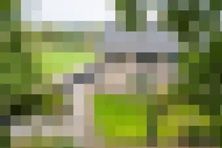 Johan Frisostraat 8 Vroomshoop thumbnail 33