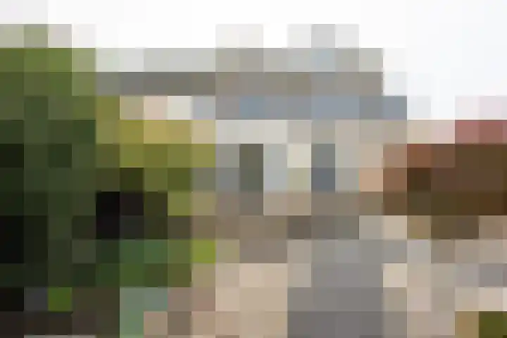 Johan Frisostraat 8 Vroomshoop thumbnail 34