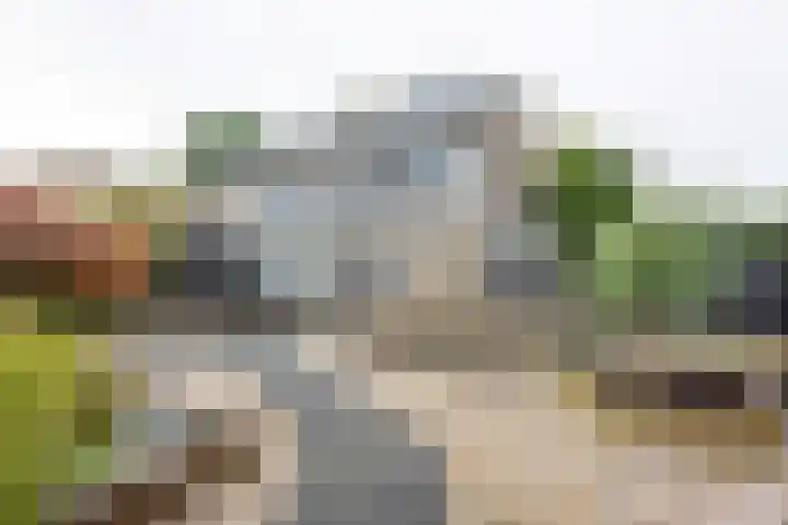 Johan Frisostraat 8 Vroomshoop thumbnail 35
